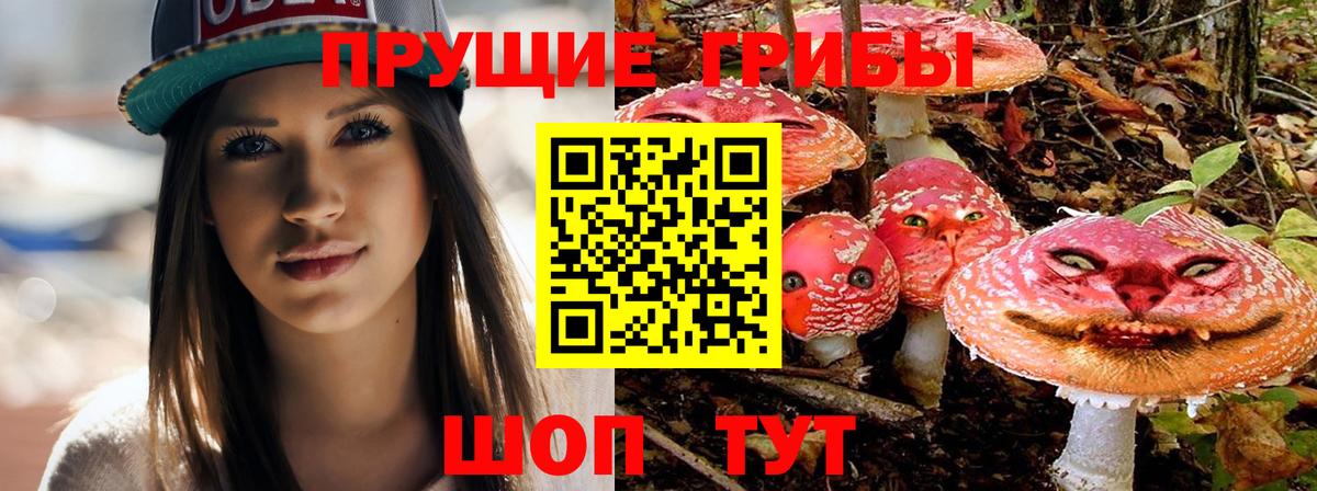 Галлюциногенные грибы MAGIC MUSHROOMS Усть-Илимск