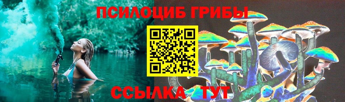 Усть-Илимск  Псилоцибиновые грибы Cubensis  Вход с VPN 